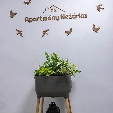 Nezarka A Privatni Wellness *