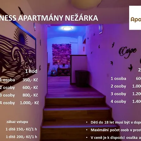 Nezarka A Privatni Wellness * جينديتشوف هراديك