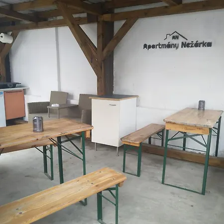 Nezarka A Privatni Wellness * جينديتشوف هراديك