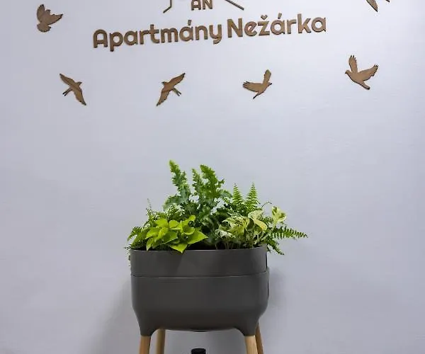 Nezarka A Privatni Wellness *