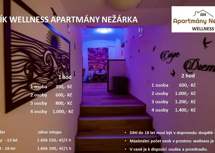 Nezarka A Privatni Wellness * ז'ינדריצ'וב הרדק