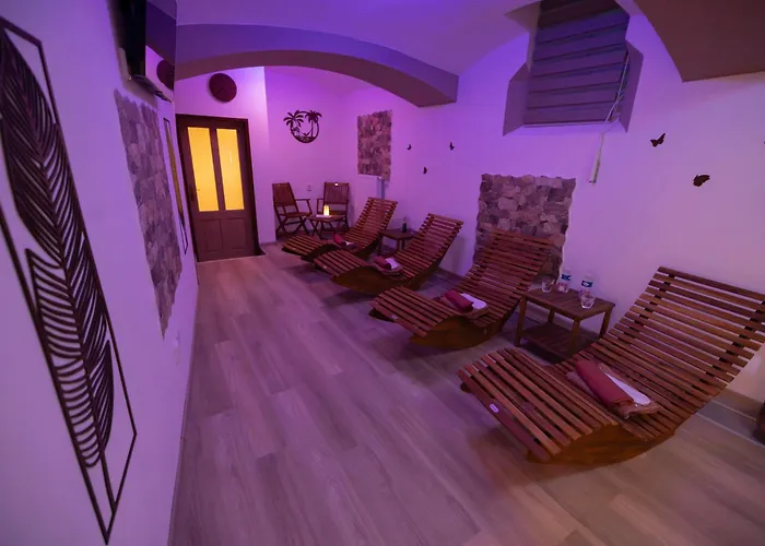 Nezarka A Privatni Wellness דירה ז'ינדריצ'וב הרדק